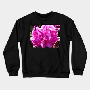 Pink rhododendron in full bloom Crewneck Sweatshirt